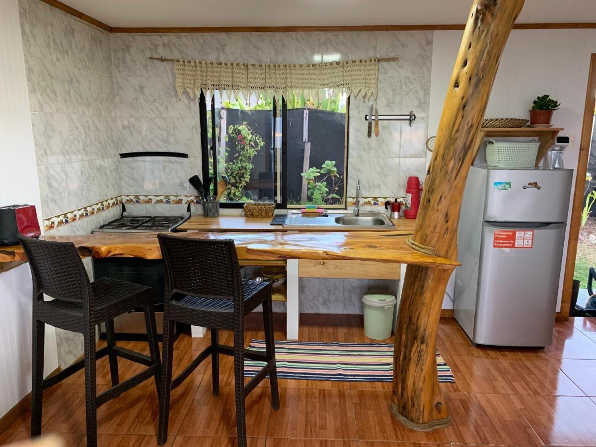 Cabanas & Hostal Tojika อังกาโรอา ภายนอก รูปภาพ