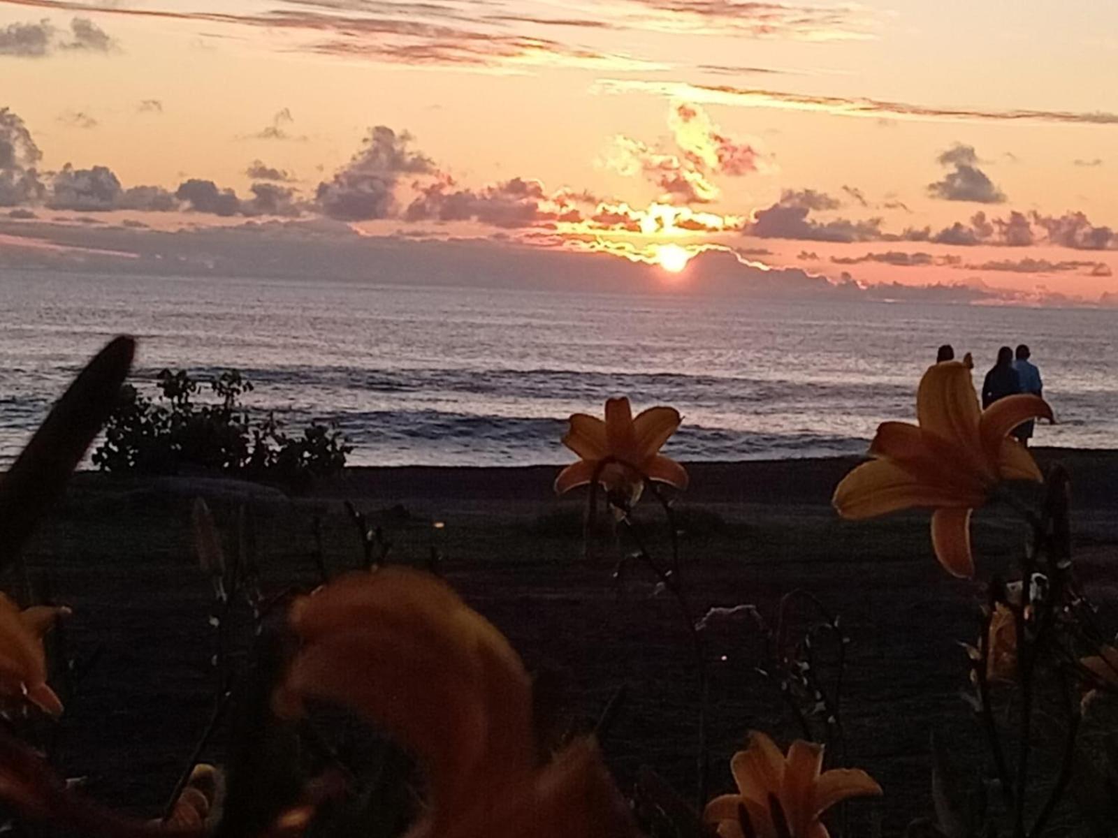Cabanas & Hostal Tojika อังกาโรอา ภายนอก รูปภาพ