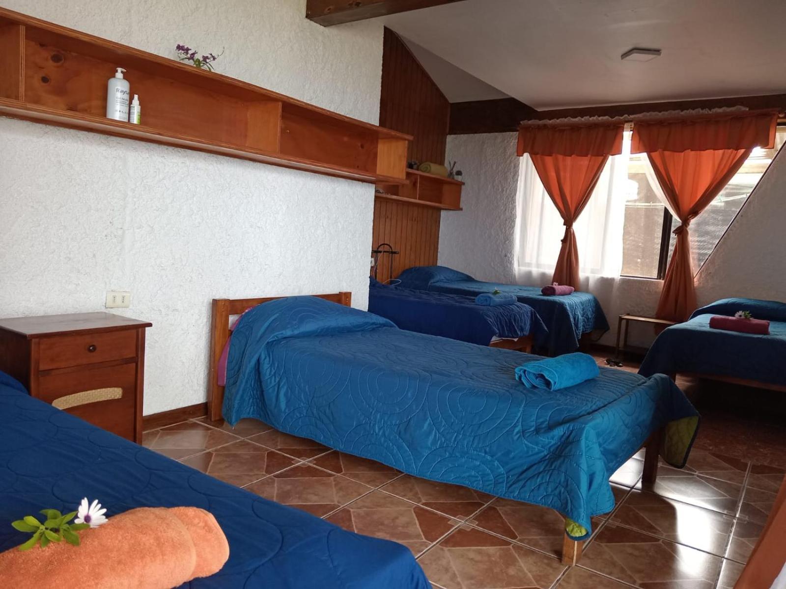 Cabanas & Hostal Tojika อังกาโรอา ภายนอก รูปภาพ