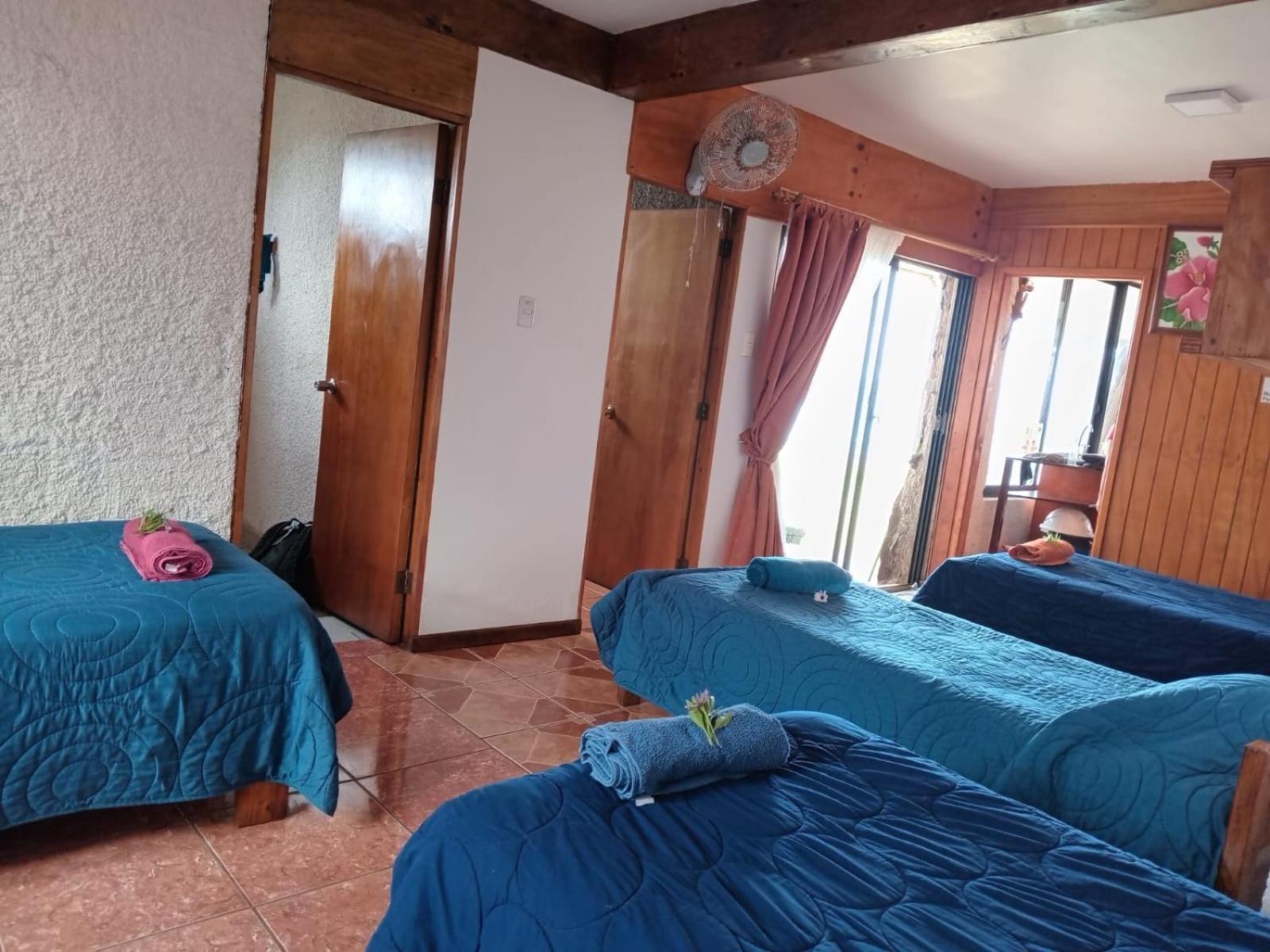 Cabanas & Hostal Tojika อังกาโรอา ภายนอก รูปภาพ