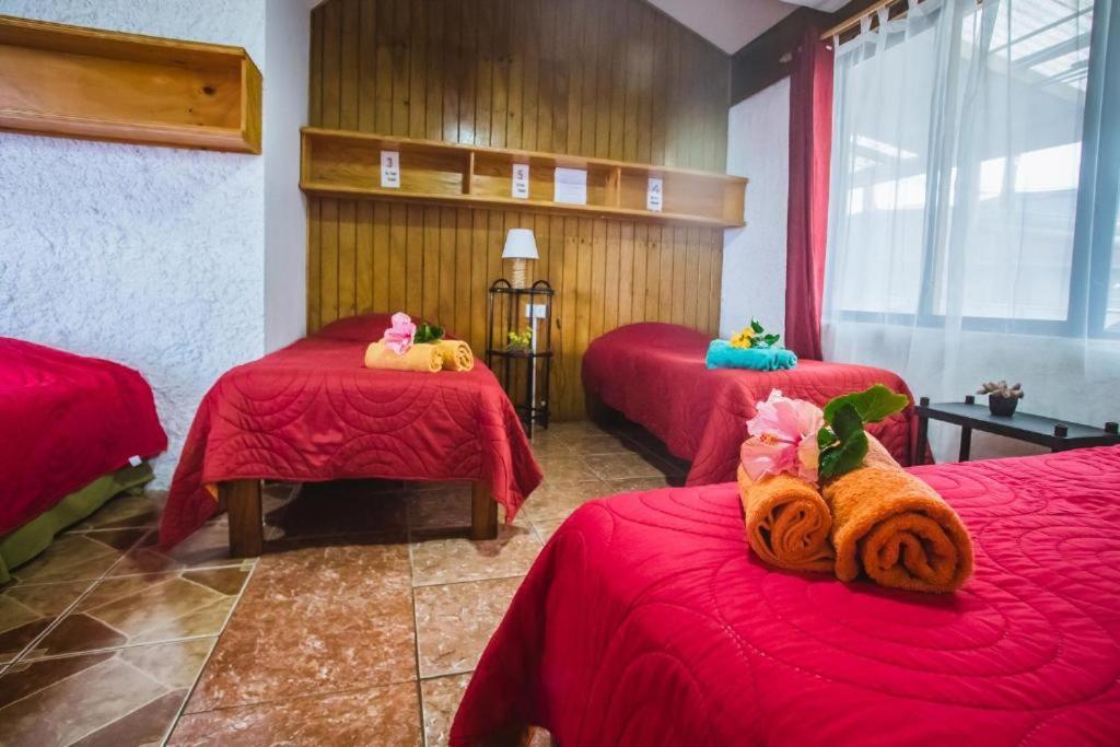 Cabanas & Hostal Tojika อังกาโรอา ภายนอก รูปภาพ