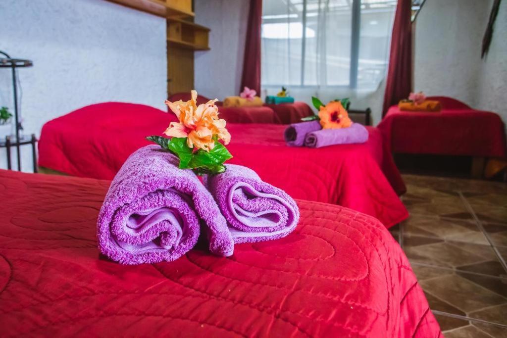 Cabanas & Hostal Tojika อังกาโรอา ภายนอก รูปภาพ